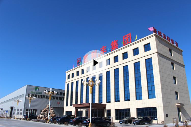 天津市隆盛泽新能源科技 创新驱动绿色未来